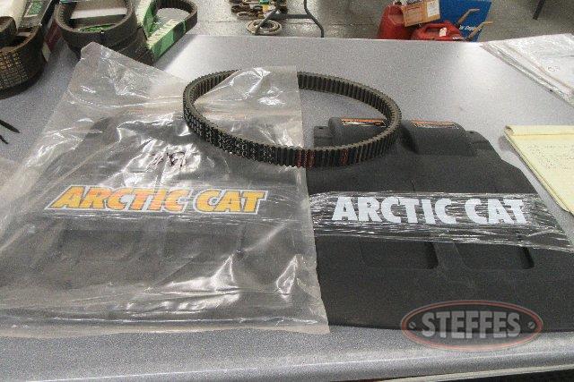  Arctic Cat _0.jpg